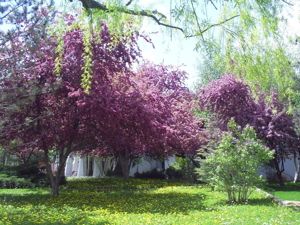 Agacli Hotel Aksaray Kültér fotó